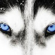 PattersonMillHuskies (@huskiespatmill) 's Twitter Profile