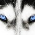 PattersonMillHuskies (@huskiespatmill) Twitter profile photo PattersonMillHuskies (@huskiespatmill) Twitter profile photo