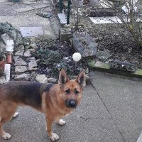 Neumann Heiko (@neumannheiko2) 's Twitter Profile