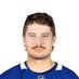 #LeafsForever (@Dennis_Shick90) Twitter profile photo