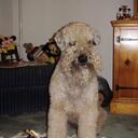 barbara westerberg - @bwesterberg - Twitter