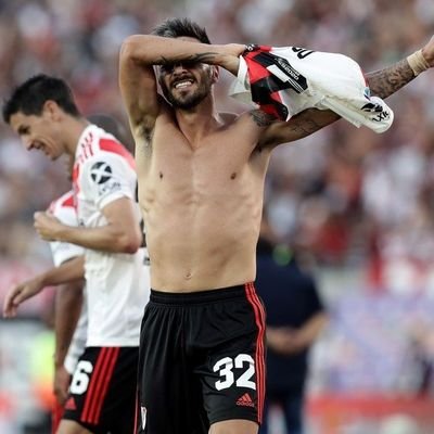 _Taube's profile picture. Coordinador @patriatuiteraok