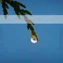 Dawn Buchanan - @dawnbuchanan - Twitter