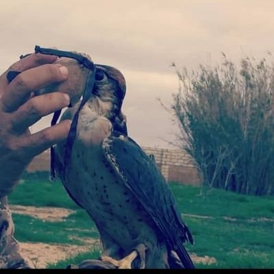 KtuT5UpcmUYpb3D's profile picture. 