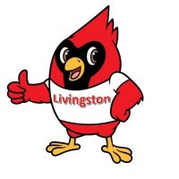 Livingston Elem (LVES) (@lveschool) 's Twitter Profile