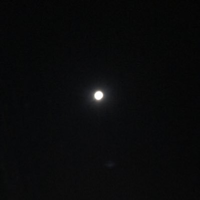 niconicoshikic1's profile picture. TFTとヴァロが好き、最近LOLも始めたshikirow