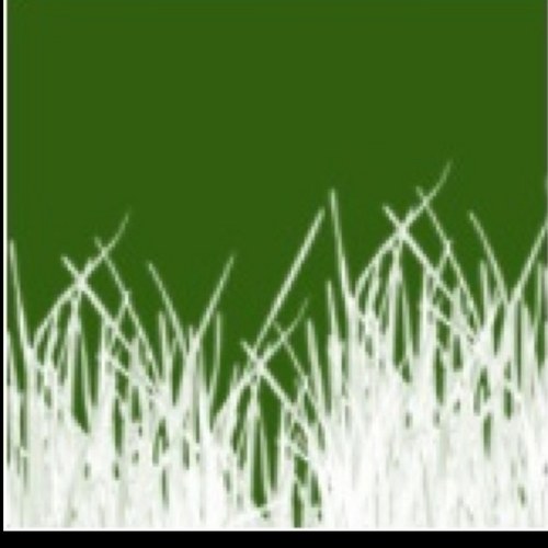 NWAHydroseed's profile picture. NWA Hydroseed & Erosion Control is Northwest Arkansas' most trusted source for lawn installation, renovation and maintenance.