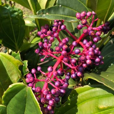 jack82890994's profile picture. 176-85-48 。I am daddy. I like sissyboy femboy cross-dress。