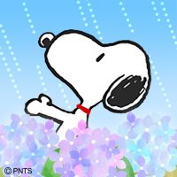 晴れる (@sakurasakusada) Twitter profile photo