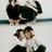 jy67871's profile image