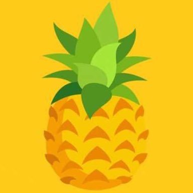 PineappleFundMe's profile picture. Because once you have enough money, money doesn’t matter.
