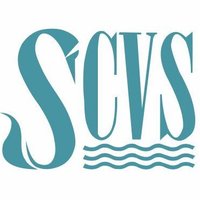 Volunteering Swansea (@volswansea) 's Twitter Profile Photo