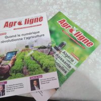 Agroligne RéseauAgroAgri (@reseauagroagri) 's Twitter Profile
