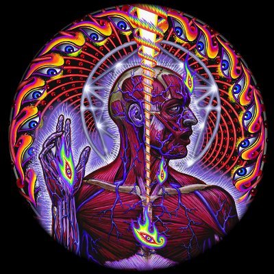 TwittingTomasz's profile picture. 