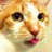 やっぱり猫が好きのアイコン