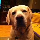 Tony Ardito - @lakeshowbowl - Twitter