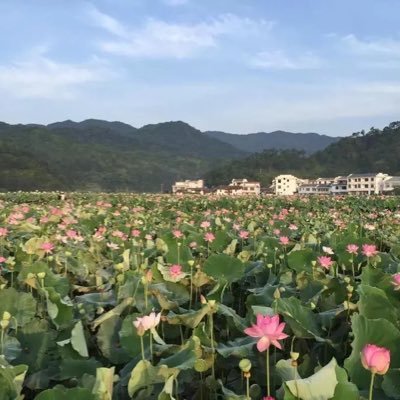 IdMtZXU2DRAt8h5's profile picture. 我在迪拜