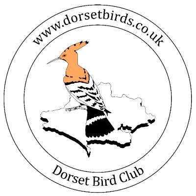 Dorset Bird Club