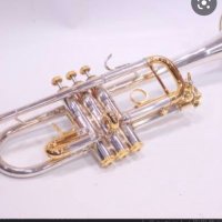 JAZZ理事長 (@hwsxmrbmtvj2dk2) 's Twitter Profile