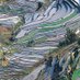 EASA EnviroAnt Network (@enviro_ant) Twitter profile photo EASA EnviroAnt Network (@enviro_ant) Twitter profile photo