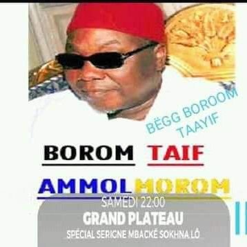 dTZL5Pyse2HSCXH's profile picture. 