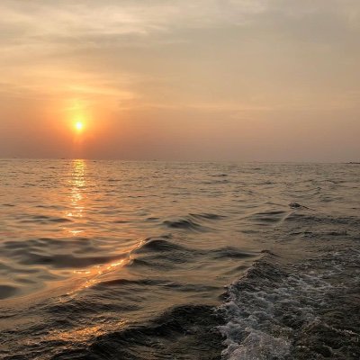 baateinwithyou's profile picture. A Seeker. Here for Reflective conversations, mindful thoughts, inclusivity of opinions and observations via Darshan