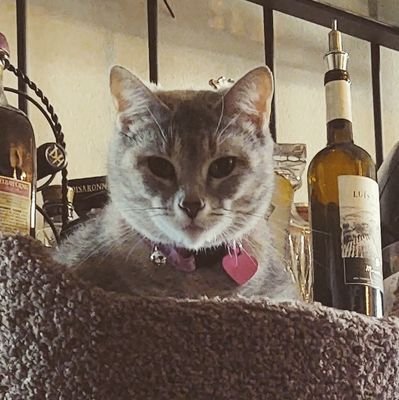 Stephen45793471's profile picture. I embrace life in all it's forms. Let's talk! And before you ask, I don't use Whatsapp.🤬