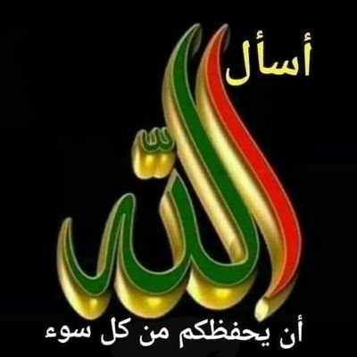 w0ovJ72EfRYynYN's profile picture. 