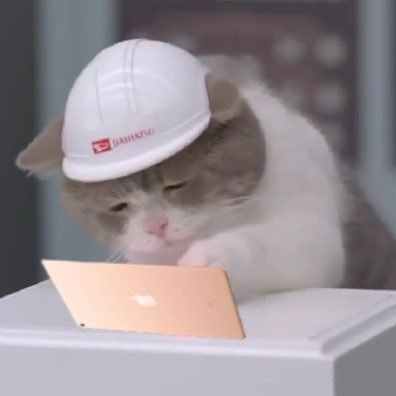 Jade_sE041's profile picture. 北大院/M2 たまに道内一人旅してます