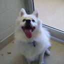 Kim Lenahan - @Kimers123 - Twitter