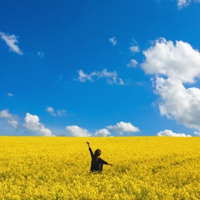 Kinesamuline's profile picture. 