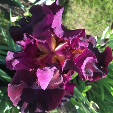 45LweNXqvtZUzD4's profile picture. Шеф повар