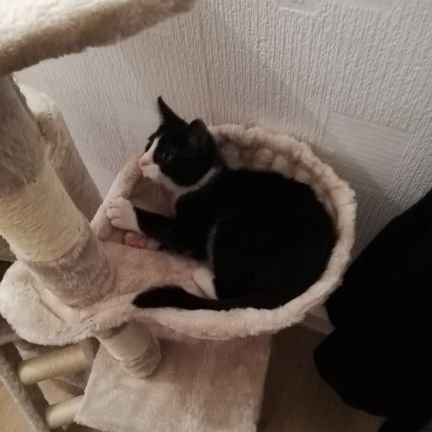 susandunleavy2's profile picture. my family are my world ❤️ 🌍