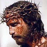 Tears From Heaven (@annhewi47689497) 's Twitter Profile