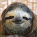 The Sloth Way Profile picture