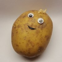 Potato Whisperer(@ArguesWithSpuds) 's Twitter Profile Photo