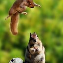 Pat Mclean - @cenaheatleyfan - Twitter