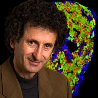 Vincenzo Cirulli (@vincenzocirulli) 's Twitter Profile Photo Vincenzo Cirulli (@vincenzocirulli) 's Twitter Profile Photo