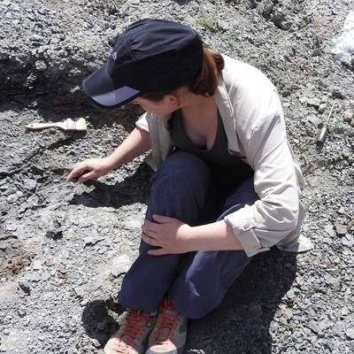 Graduate student in evolutionary biology, mammalian paleontologist