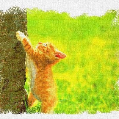 ブリュンヒルデさんのプロフィール画像
