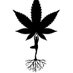 CBD Cannabis Rivendocanbio (@crivendocanbio) Twitter profile photo CBD Cannabis Rivendocanbio (@crivendocanbio) Twitter profile photo
