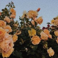 Ei, sentimentos (@sentimentosei) 's Twitter Profile