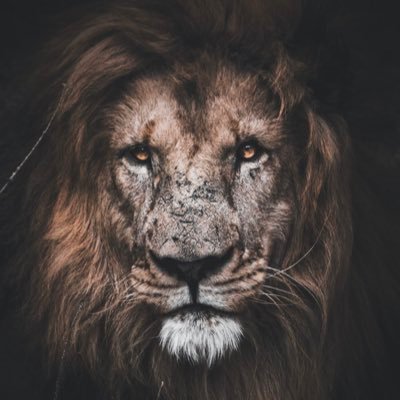 Ja’Von Benson™️ Profile