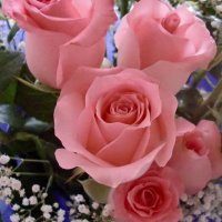 عبدالرحمن العشماوي (@1okkyulvce2fte5) 's Twitter Profile