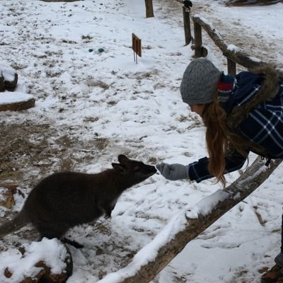 Veterinaria 👩🏼‍⚕️
Profe de Biología y Geología 👩🏼‍🏫
Intentado contagiar amor por la ciencia