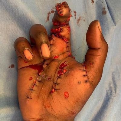 jagtenmos's profile picture. 