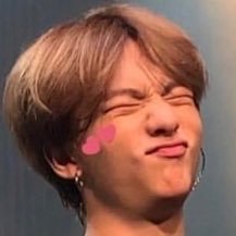 if i follow you that means that ur the cutest and stray kids love you lots ♡