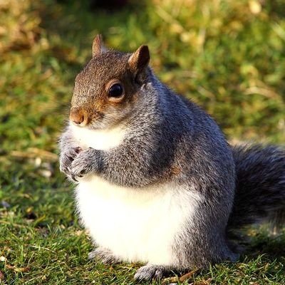 jcampbell120's profile picture.