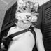 Cat after dark~ (@ocelot_AD) Twitter profile photo