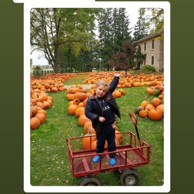 li_brom's profile picture. integrity